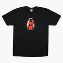 Supremo coccinella tè nero