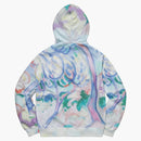 Supreme Landscape Hooded Sweatshirt Multicolor