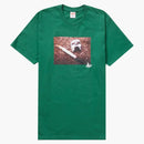 Nejvyšší mf doom čajová lehká borovice