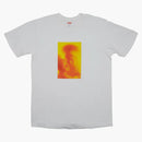 Madonna suprema e tè bambino bianco