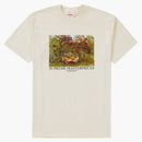 Supreme Masterpieces Tea Natural