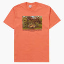 Supremo Master Masters Tea Neon Orange