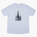 Supreme Mike Kelley the Empire State Building Tea Ash Gray