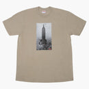 Supreme Mike Kelley the Empire State Building Tea Clay