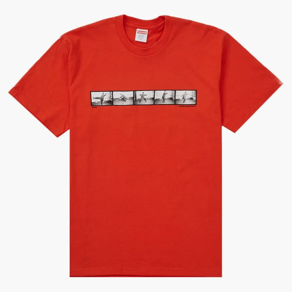 Nejvyšší Milford Graves Tea Tomato