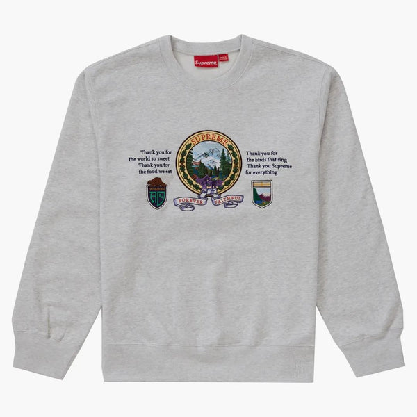 Supreme Mountain Crewneck Ash Grey