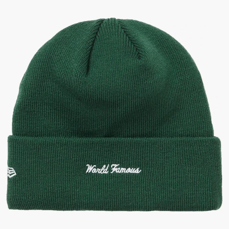 Nejvyšší nová logo ERA Box Beanie (FW18) Dark Green