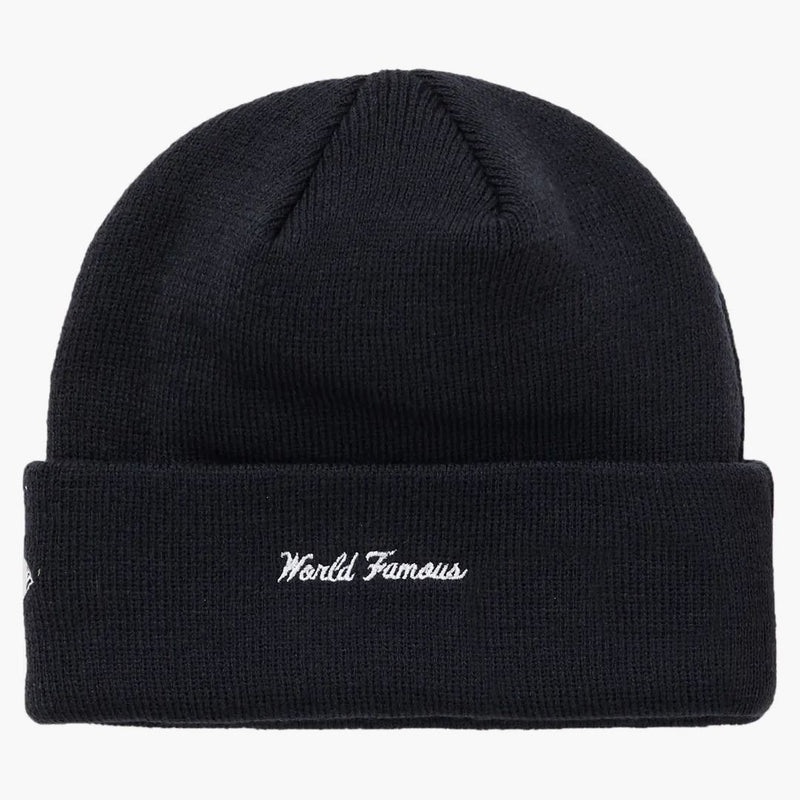 Nejvyšší nové logo ERA Box Beanie (FW18) Navy
