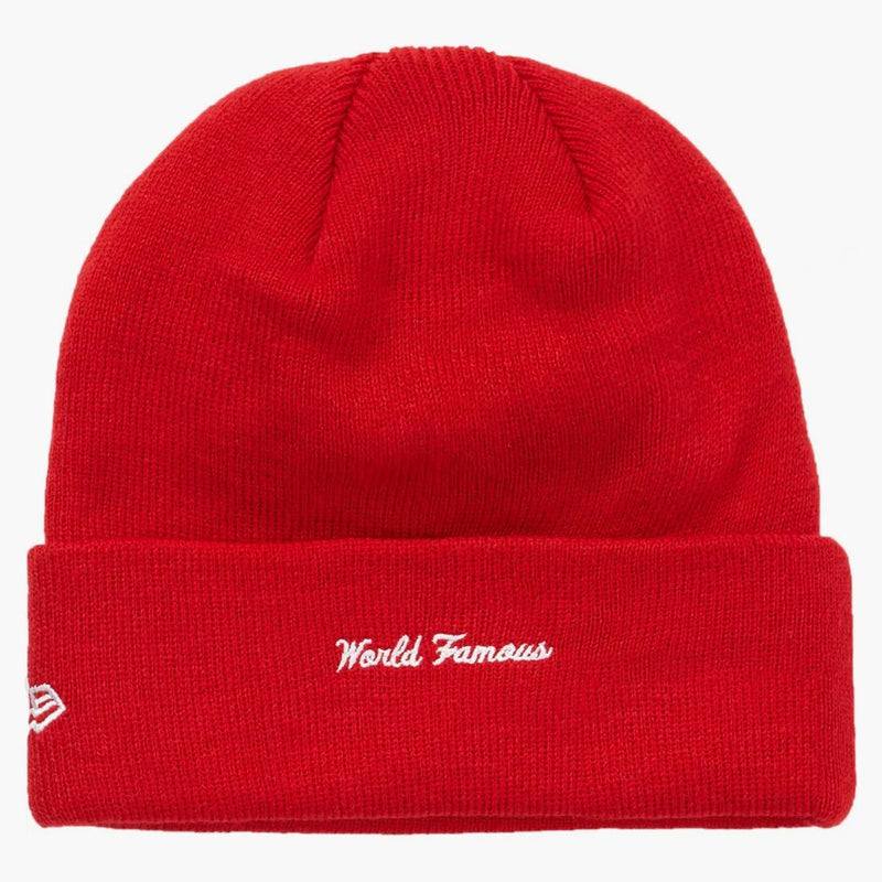 Nejvyšší nová logo ERA Box Beanie (FW18) červená