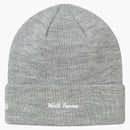 Nejvyšší nová ERA Box Logo Beanie (FW17) Heather Grey