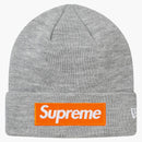 Nejvyšší nová ERA Box Logo Beanie (FW17) Heather Grey