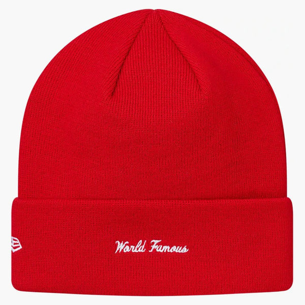 Nejvyšší nová logo ERA Box Beanie (FW17) červená