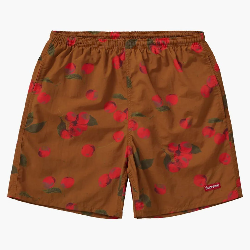 Supreme Nylon Water Short (SS19) Brown Cherry