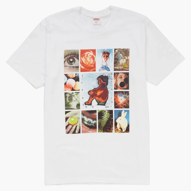 Nejvyšší originální čaj Sin White White