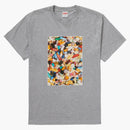 Nejvyšší pilulky čaj Heather šedá