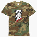 Supreme Pitbull Tea Woodland Camo