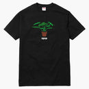 Supreme plans tea black