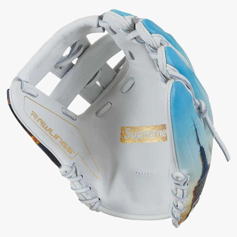 Supreme Rawlings Rev1x Aerial Baseball Glove Multicolor