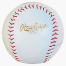Supreme Rawlings Rev1X Aerial Baseball Multicolor