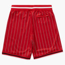 Nejvyšší drahokamový pruh basketbal krátký červená