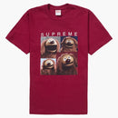 Supreme Rowlf tea cardinal