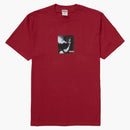 Supreme Shadow Tea Red