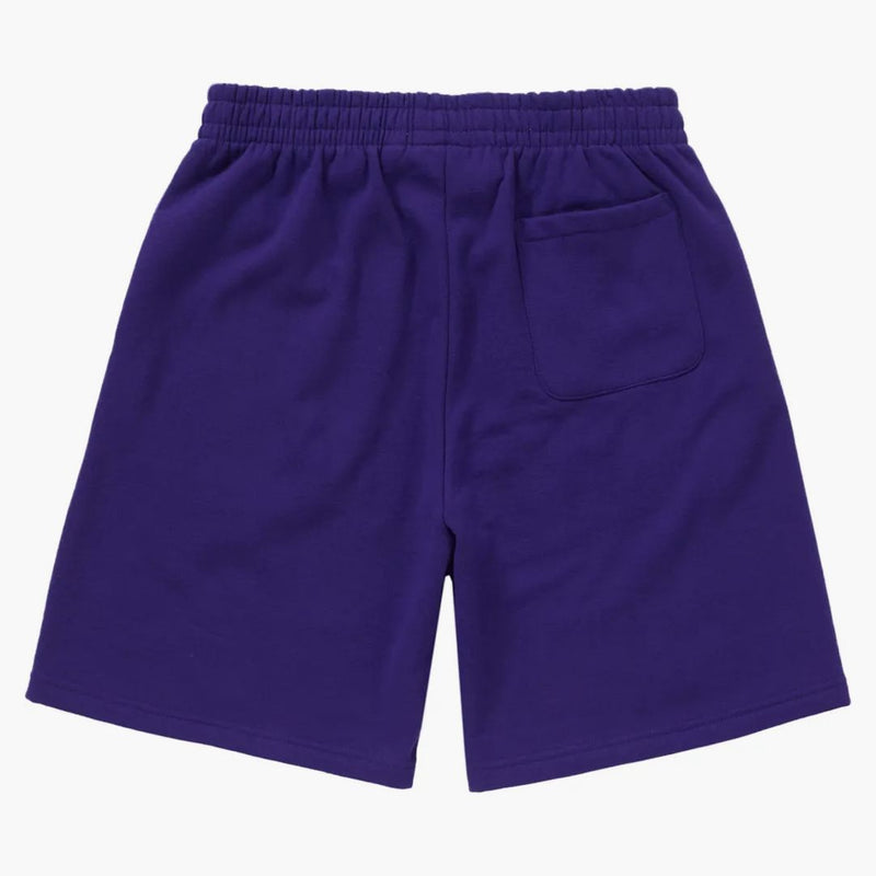 Supreme Small Box SiaShort (FW24) Purple