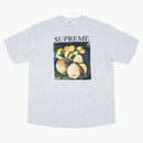 Supreme still life tea ash gray