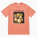 Supreme still life tea terra cotta