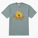 Supreme Sun Tea Dark Sage