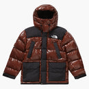 Supreme The North Face 700-fill Down Parka Brown