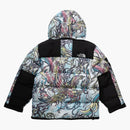 Supreme The North Face 700-fill Down Parka Multicolor Dragon