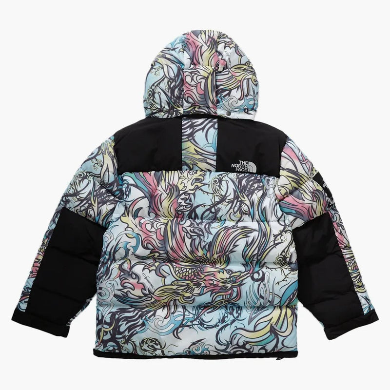 Supreme The North Face 700-fill Down Parka Multicolor Dragon