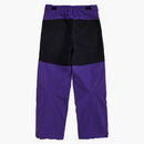 Supreme The North Face Arc Logo Mountain Pant Purple