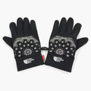 Supreme The North Face Bandana Gloves Black