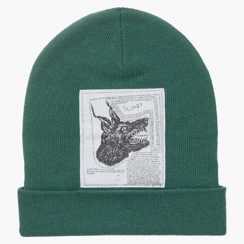 Supreme the North Face Beanie (FW24) Green