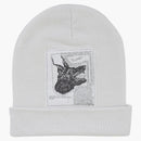 Supreme The North Face Beanie (fw24) White