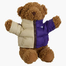 Supreme The North Face Bear Multicolor