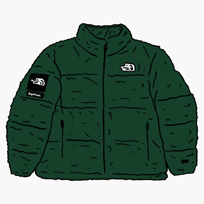 Supreme The North Face Faux Fur Nuptse Jacket Green