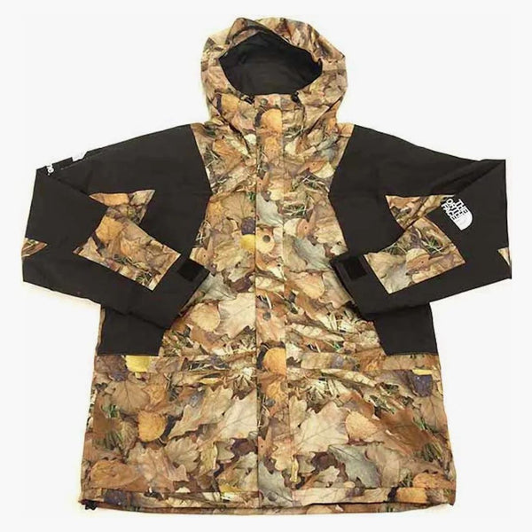 Supreme The North Face Mountain Light Jacket Leaves