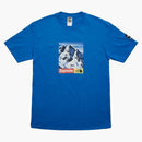 Supreme el té de montaña de la cara norte