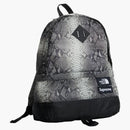 Supreme The North Face Snakeskin Lightweight Day Pack Black