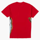 Supremo la persistencia del té de memoria rojo