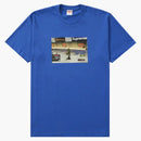 Supremo Thrasher Game Tea Royal