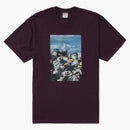 Nejvyšší koše čaj Egglant