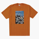 Supreme trash tea orange