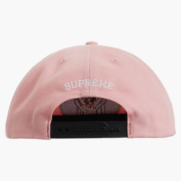 Högsta vampyrpojke 6-panel rosa