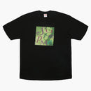 Supreme venus tea black