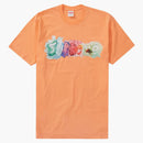 Supreme Watercolor Tea Peach