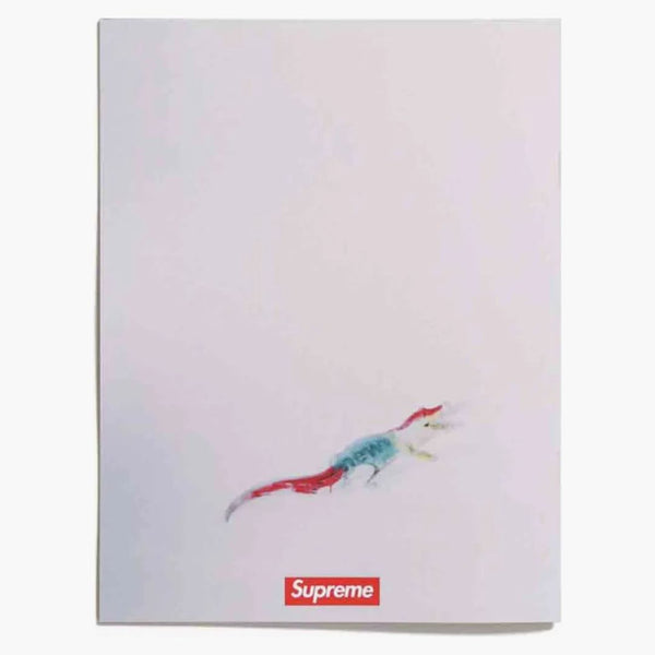 Supreme X Araki Zine Book